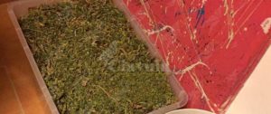 Deteneva in casa 2,50 kg di marijuana, arrestato item-thumbnail