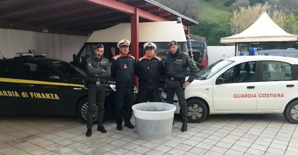 Fermato un furgone sulla S.S. 106 con oltre 150kg di bianchetto illegalmente trasportato