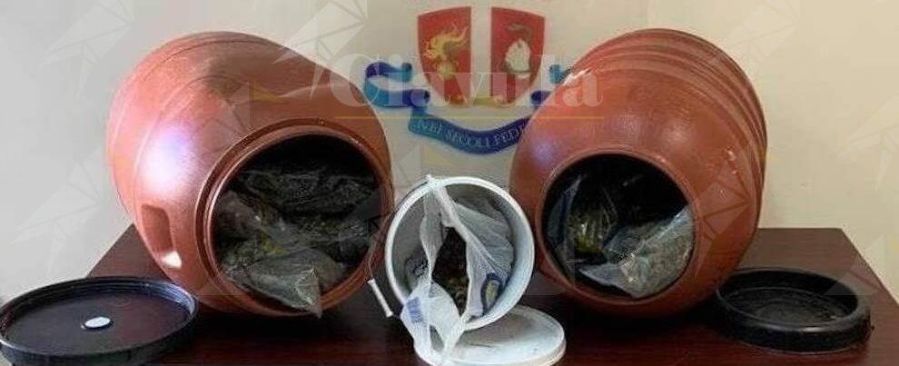 Gioiosa Ionica: I Carabinieri trovano 14 kg di marijuana per un valore di 20mila euro