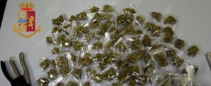 Trovato in possesso di 140 grammi di marijuana, arrestato item-thumbnail