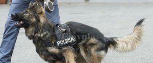 Trasportavano 6,5 kg di cocaina, arrestati 2 uomini calabresi item-thumbnail
