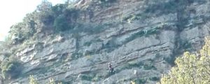 Fotonotizia: soccorsi due cani rimasti bloccati in un dirupo a Caulonia item-thumbnail