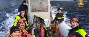 Cani precipitano in un dirupo: l’incredibile salvataggio dei vigili del fuoco item-thumbnail