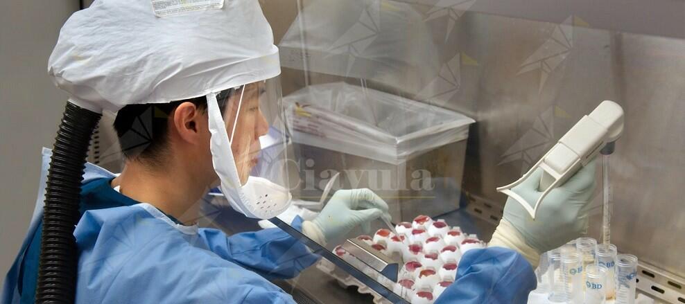 Coronavirus: il resto del mondo ha superato la Cina per numero di contagiati e di vittime