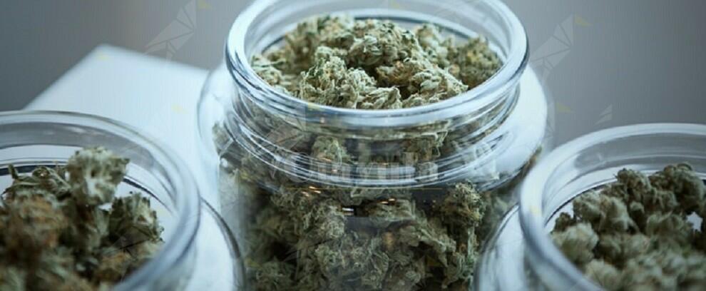 Marijuana avvolta nel borotalco per coprirne l’odore. Arrestato spacciatore