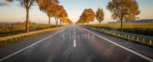 Fugge dal reparto psichiatrico e passeggia sulla corsia di sorpasso della strada statale, salvato dalla polizia item-thumbnail