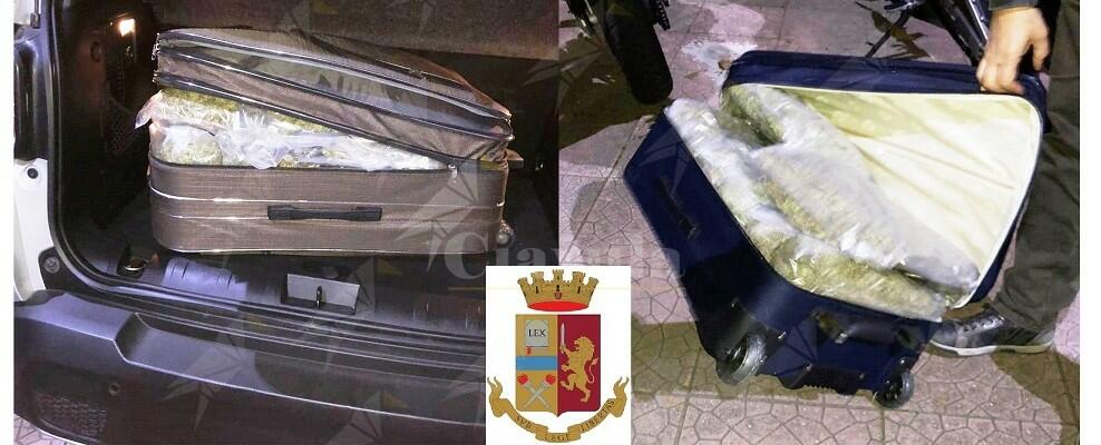 Trovati in possesso di 20 kg di marijuana occultati nel trolley, arrestati