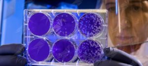 Coronavirus: per limitare il contagio Toyota sospende la produzione e Starbucks chiude item-thumbnail