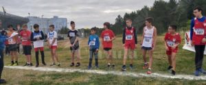 Incetta di medaglie per i piccoli atleti cauloniesi item-thumbnail