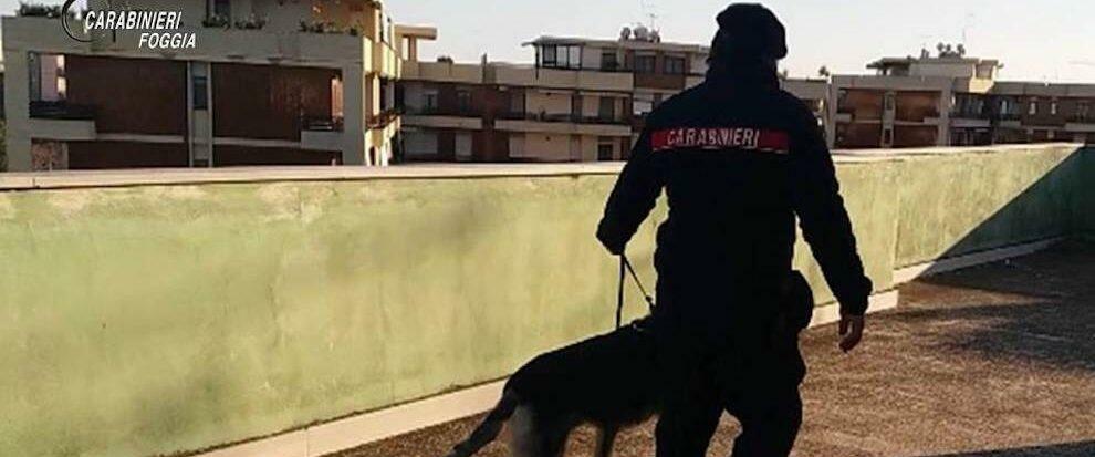 Spaccio di droga sotto i portici di una palazzina: scatta il blitz dei carabinieri