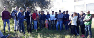 Tecniche di potatura e razionale gestione dell’oliveto: il corso di formazione all’ITA di Caulonia item-thumbnail