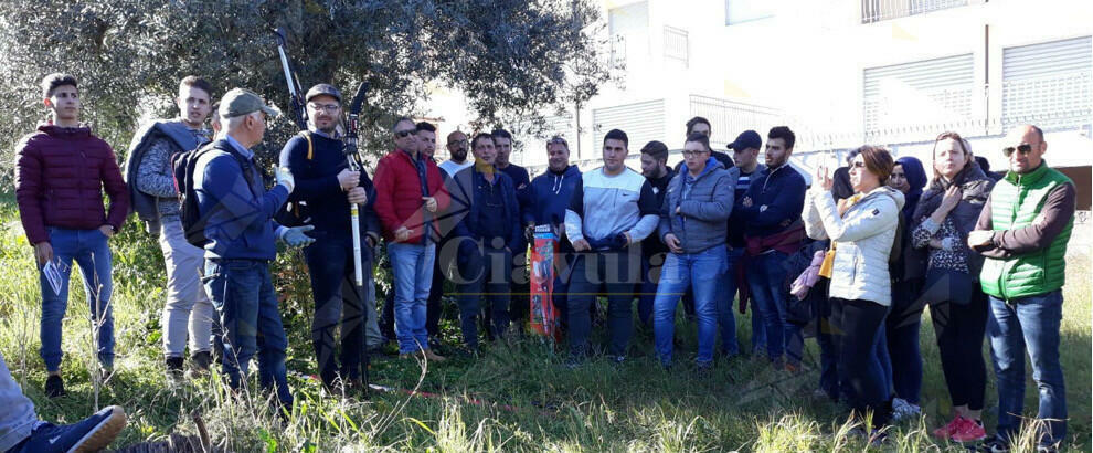 Tecniche di potatura e razionale gestione dell’oliveto: il corso di formazione all’ITA di Caulonia