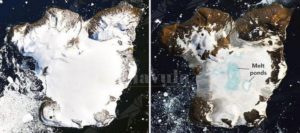 IL RISCALDAMENTO GLOBALE PUÒ LIBERARE ANTICHI VIRUS BLOCCATI NEI GHIACCIAI DA 15000 ANNI item-thumbnail