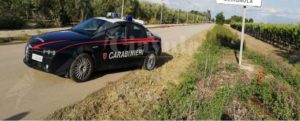 Sfugge all’alt dei carabinieri con una moto rubata: fermato dopo un breve inseguimento item-thumbnail