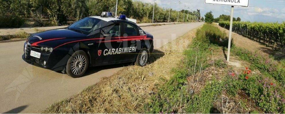 Sfugge all’alt dei carabinieri con una moto rubata: fermato dopo un breve inseguimento