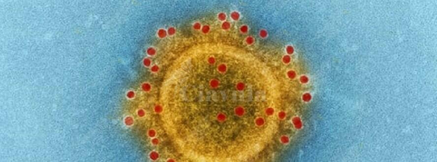 Coronavirus, un allievo vigile del fuoco in quarantena