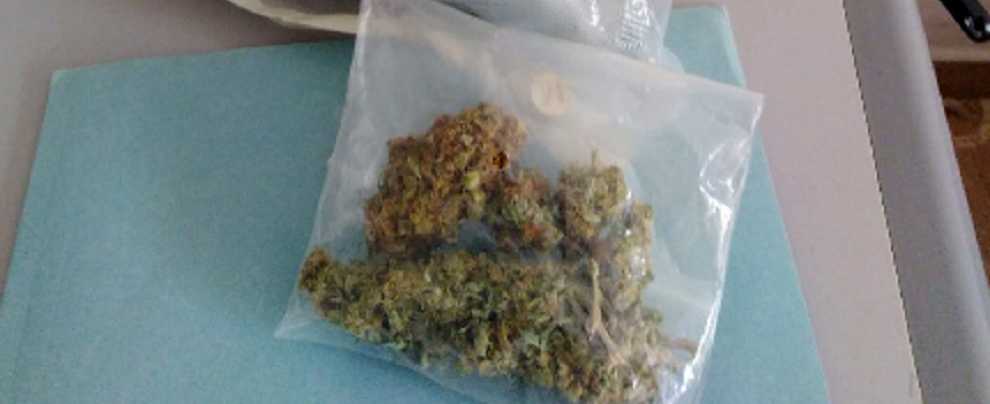 Sorpreso in casa con 400 grammi di marijuana, arrestato