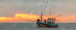 Stignano: sequestrati 186 kg di novellame di sarda. Multa di 10 mila euro ai pescatori item-thumbnail
