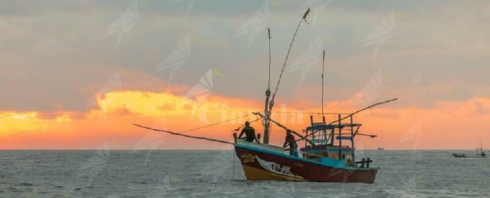 Stignano: sequestrati 186 kg di novellame di sarda. Multa di 10 mila euro ai pescatori