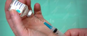 Bimbo di 4 anni muore per un’influenza: madre no-vax non gli ha somministrato il farmaco prescritto item-thumbnail
