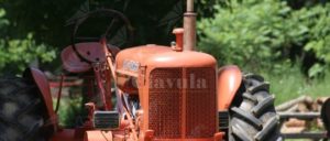 Con un trattore rubato non si ferma all’alt dei carabinieri, arrestato item-thumbnail
