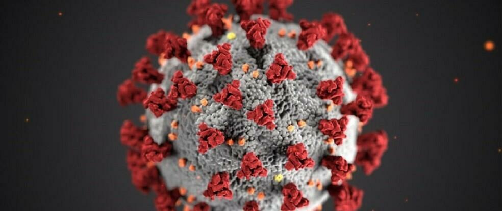 Coronavirus, ricoverata la vice premier spagnola per crisi respiratoria, si attende l’esito del tampone