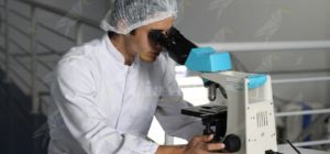 Coronavirus: l’età media dei ricoverati in terapia intensiva si è abbassata item-thumbnail