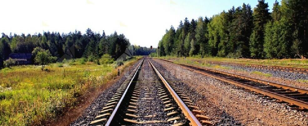 Muore sotto un treno a Badolato. Sembrerebbe suicidio