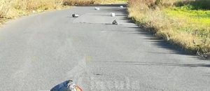 Spazzatura lanciata per strada a Gioiosa Ionica. Il sindaco richiama al senso di responsabilità item-thumbnail
