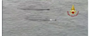 Due balene attraversano lo Stretto di Messina. Le meravigliose immagini catturate dai vigili fuoco item-thumbnail