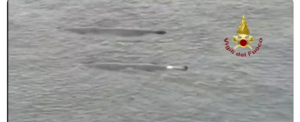 Due balene attraversano lo Stretto di Messina. Le meravigliose immagini catturate dai vigili fuoco