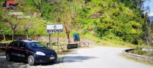 Discarica illegale di scarti animali a Bivongi. Denunciato un macellaio di Stilo item-thumbnail