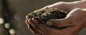 Il comune di Reggio Calabria mette a disposizione compost gratuito per cittadini e imprese item-thumbnail