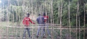 A tutela della salute pubblica urge regolarizzare gli stranieri item-thumbnail