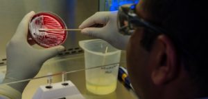 La Città Metropolitana di Reggio Calabria stanzia 90 mila euro per l’acquisto di tamponi item-thumbnail