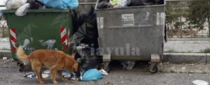 A Santa Domenica di Placanica tutti presenti per pregare ma tutti assenti per garantire i servizi ai cittadini item-thumbnail