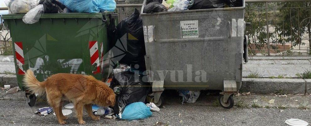 A Santa Domenica di Placanica tutti presenti per pregare ma tutti assenti per garantire i servizi ai cittadini