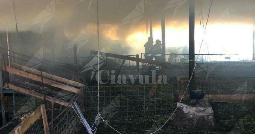 Incendio in stalla e fiamme. In corso le operazioni di spegnimento