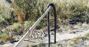 Caulonia, biscia morta in via Alfonso Rendano item-thumbnail