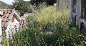 Segnalazione sullo stato di abbandono del cimitero di Crochi item-thumbnail