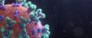 Coronavirus, in Calabria 56 nuovi casi positivi nelle ultime 24 ore item-thumbnail