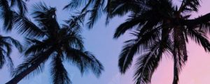 Parte per le Hawaii e viola la quarantena, arrestato un turista item-thumbnail