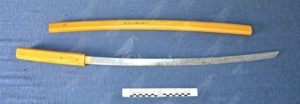 Gioia Tauro: pregiudicato a spasso con una “Katana”, denunciato item-thumbnail