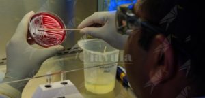 Non pagati medici e infermieri che hanno eseguito i tamponi item-thumbnail