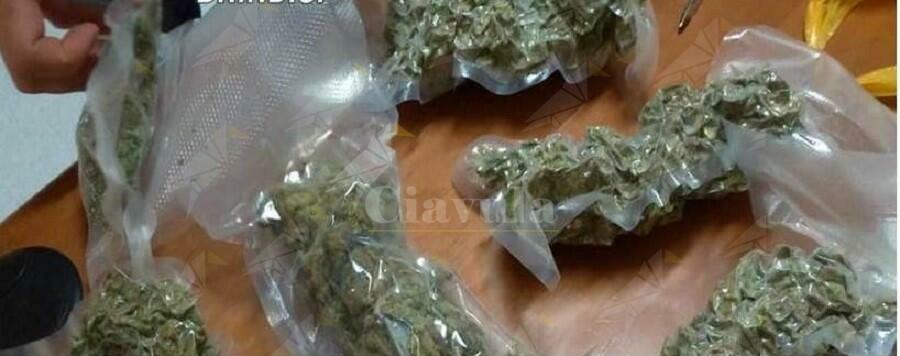 Trovato in possesso di 628 grammi di marijuana, arrestato