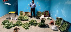 Calabria: sorpresi a raccogliere piante di canapa, tre arresti e una denuncia item-thumbnail