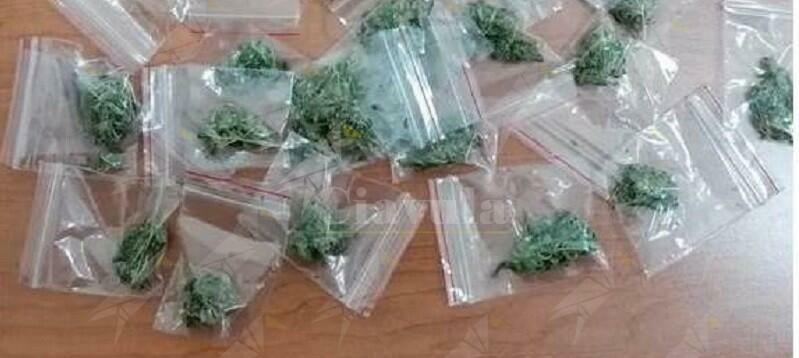 Trovato in possesso di 215 grammi di marijuana, arrestato