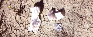 Caulonia: appello agli “amanti mobili” item-thumbnail