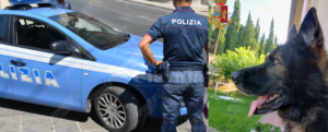 Spaccio: arrestati due fratelli calabresi grazie all’infallibile fiuto di Floyd item-thumbnail