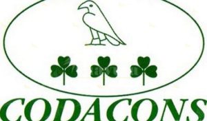 Calabria: parte in regione offensiva Codacons contro voucher item-thumbnail